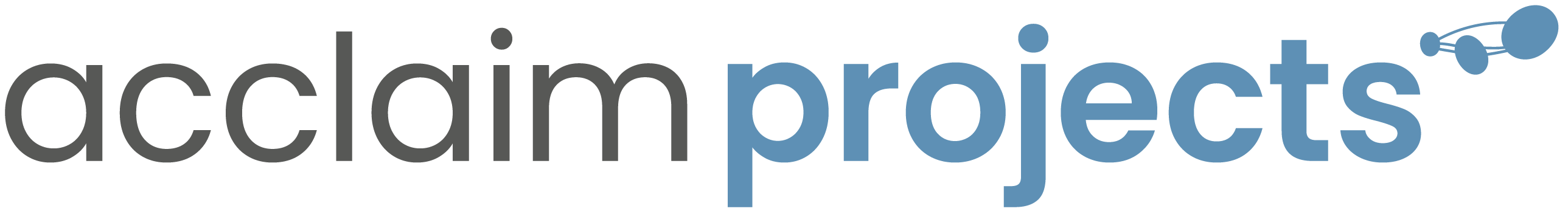 Acclaim_PROJECTS logo - w-o sopheon - Colour